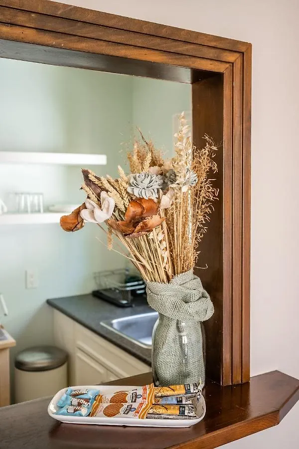 Gabby'S Place Downtown Core Τορόντο 0*,  Καναδάς